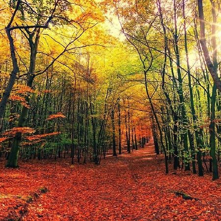 B&B Drenthe Вестерборк Экстерьер фото